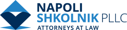logo-Napoli-Shkolnik-full-color-dark